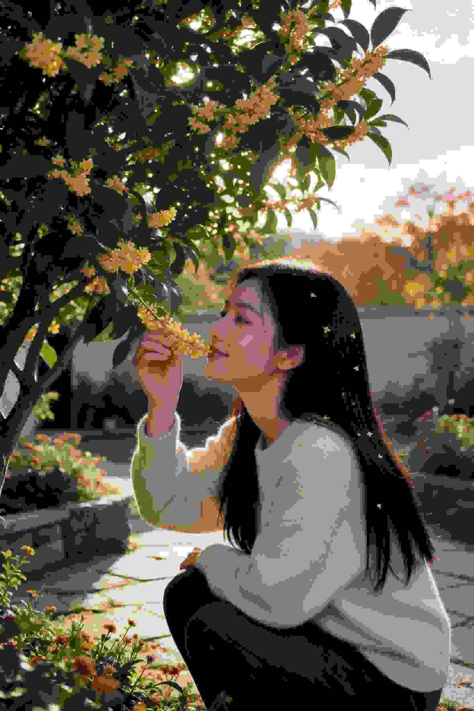热门影视4